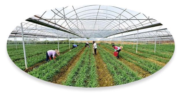 價(jià)格優(yōu)勢